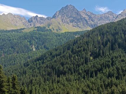 Foto von Wilfried entlang der Tour