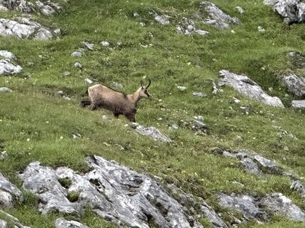 Foto da Albert Hettich lungo il tour