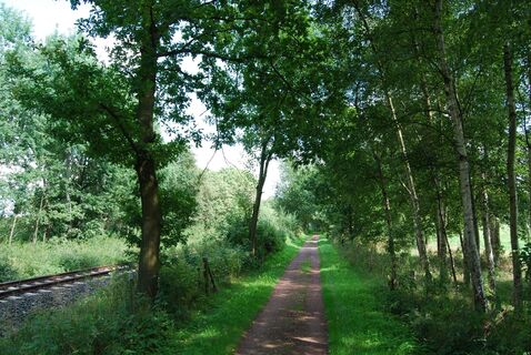 Wold&amp;Woldsee - Streckenabschnitt