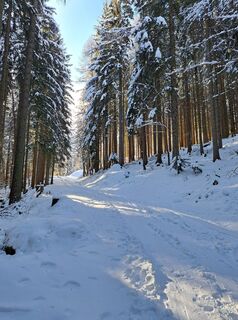 Foto von Daniela König 1 entlang der Tour