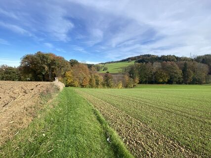 Photo de Biernase1 le long du parcours