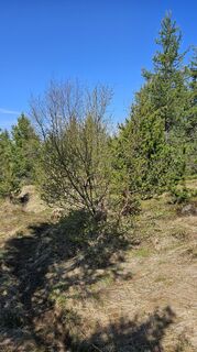 Fotografie z Eric Stoklassa na trase