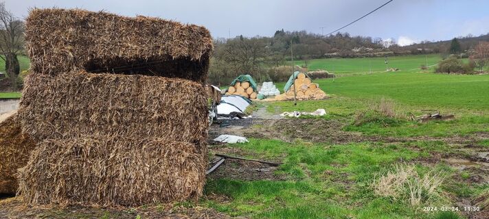 Foto von Edit Szoboszlay entlang der Tour