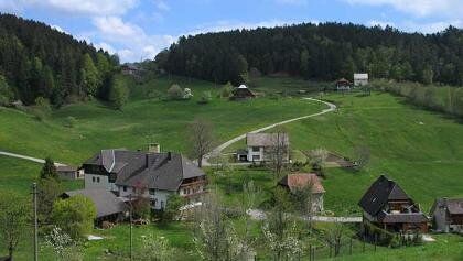 Blick ins Eichbachtal