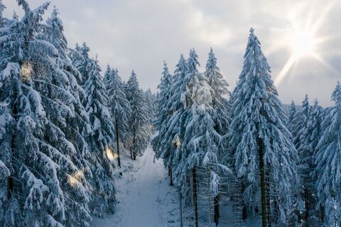 Winter in Hahnenklee