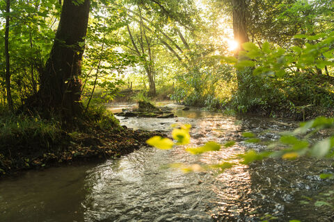 Fluss Düssel im Neandertal bei Erkrath/Mettmann