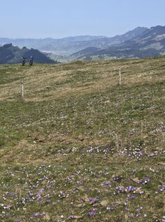 Foto von bikeandcamp entlang der Tour