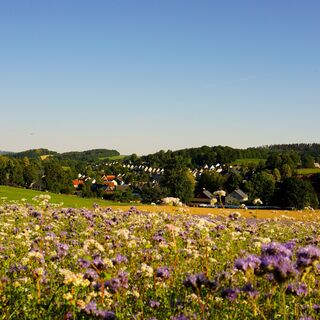 Blick über Borstendorf