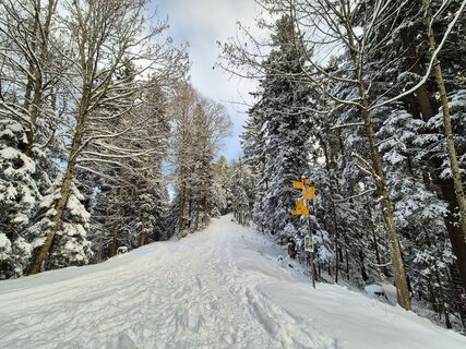 Fotografija s spletne strani Markus Christen na poti
