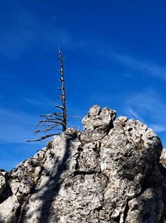 Foto de GAdamec a lo largo del recorrido