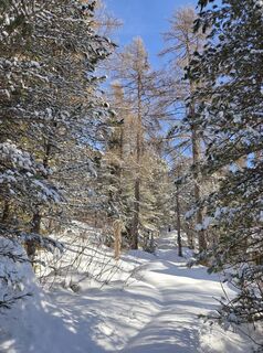 Foto van FABIO MAGLIANO langs de tour
