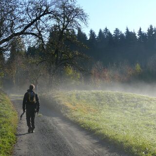 Wandern