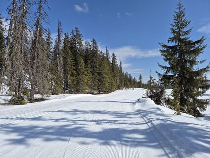 Fotografija s spletne strani Brigitta Madár na poti