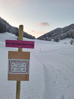 Flache Routenführung am Winterwanderweg Dörfli-Fürggli