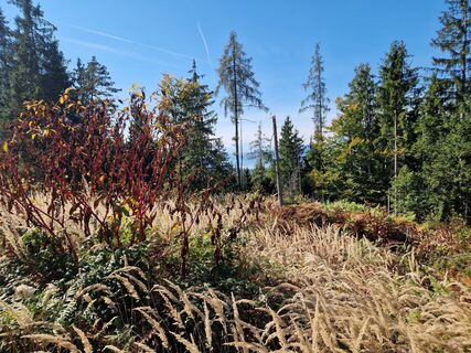 Foto von preslmi71 entlang der Tour