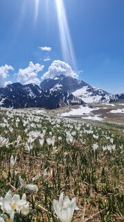 Zdjęcie z Daniel (Rustico) wzdłuż trasy