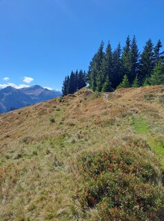 Foto von Wanderbursche66 entlang der Tour