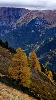 Photo de Fabrizi Mellano le long du parcours