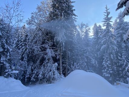 Kuva osoitteesta Mayr Wolfgang matkan varrella