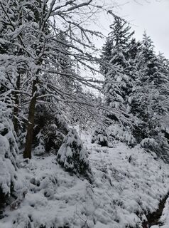 Fotografija s spletne strani W B MA na poti