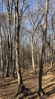 Foto von Peter Burki entlang der Tour