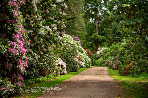Rhododendronpark Hobbie