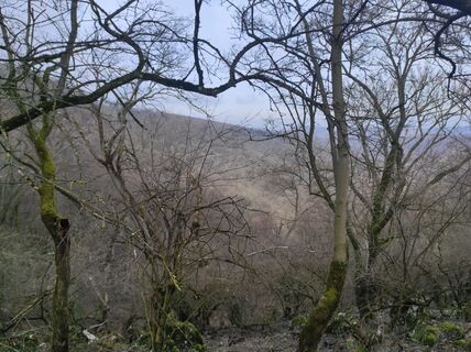 Foto von Làszló Visi entlang der Tour