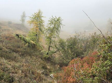 Photo de MRDL le long du parcours