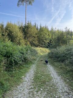 Photo from Patricia Schmale along the tour