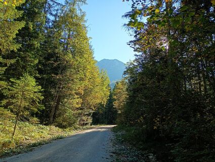 Foto von Monika Jeskova entlang der Tour