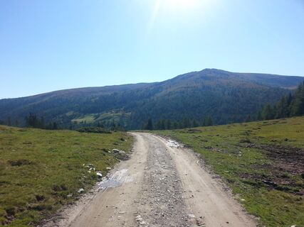 Ebenwaldhöhe mit Blick in Richtung Laussnitzerhütte