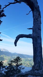 Fotografie z Aga M na trase