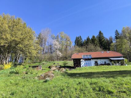Fotografija s spletne strani David Hincziza na poti