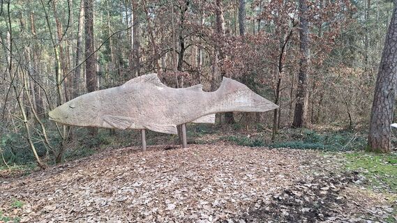 Fotografia z Friedrich Karl Gropengiesser na trase