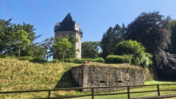 Foto von Sauerpurzel entlang der Tour