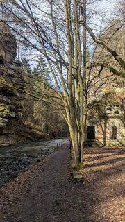Foto von hochlandfamilie entlang der Tour