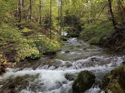 Brühlbach Wasserfall
