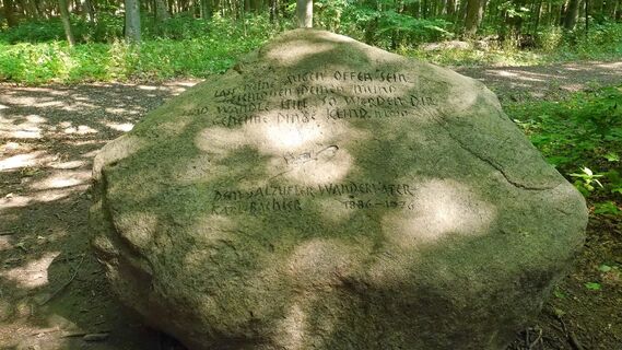 Karl-Bachler-Gedenkstein nahe Asenquelle und Asenberg_CC_BY_SA_Teutoburger_Wald_Kerstin_Paar_P1160995_2022_7_24.jpg