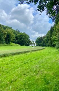 Quellenweg Überlingen am Ried