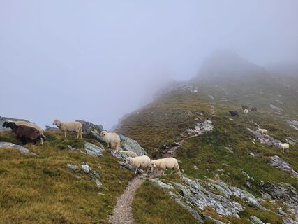 Fotografia z schenkeli na trase