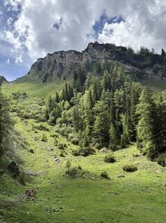 Photo de Moonytiger le long du parcours