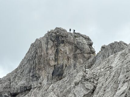 Photo de Norbert Herbig le long du parcours