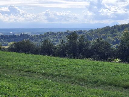 Fotografia z jogger1963 na trase