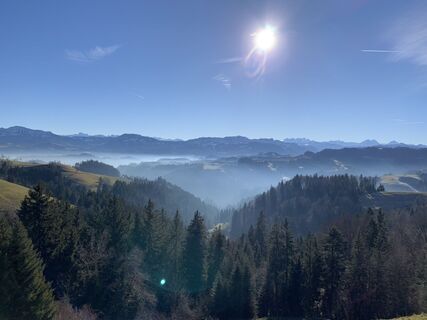 Morgennebel