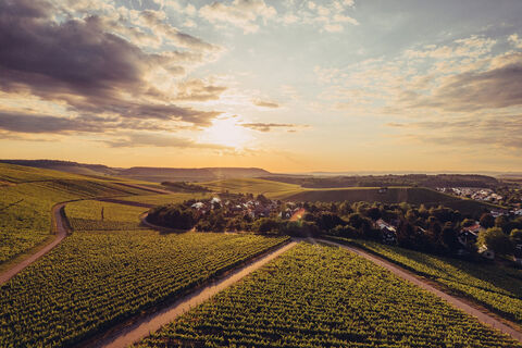 Weinlandschaft Zabergäu | HeilbronnerLand