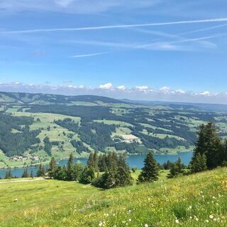 Blick oberhalb Starkatsgund zum Alpsee