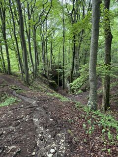 Foto von Alexander Micheli entlang der Tour