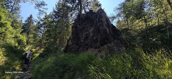 Foto von Edit Szoboszlay entlang der Tour