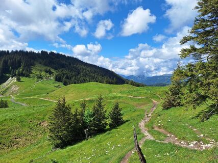 Photo de Katharina le long du parcours
