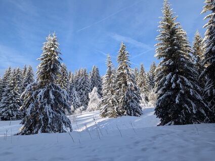 Foto von Anne be entlang der Tour